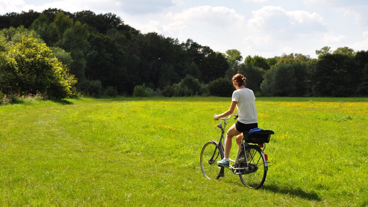 Photo of Outdoor in Westbevern