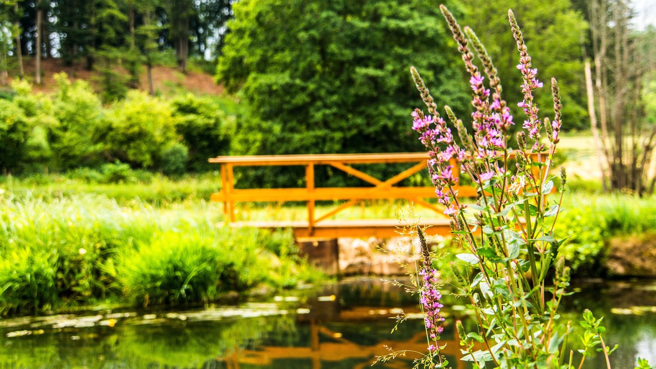 Photo of Outdoor in Parsberg