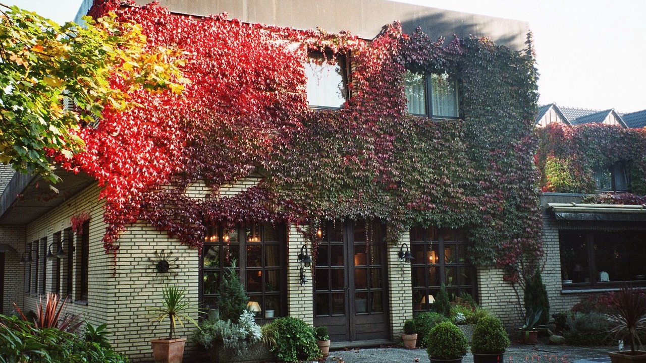Photo of Outdoor in Ibbenbueren