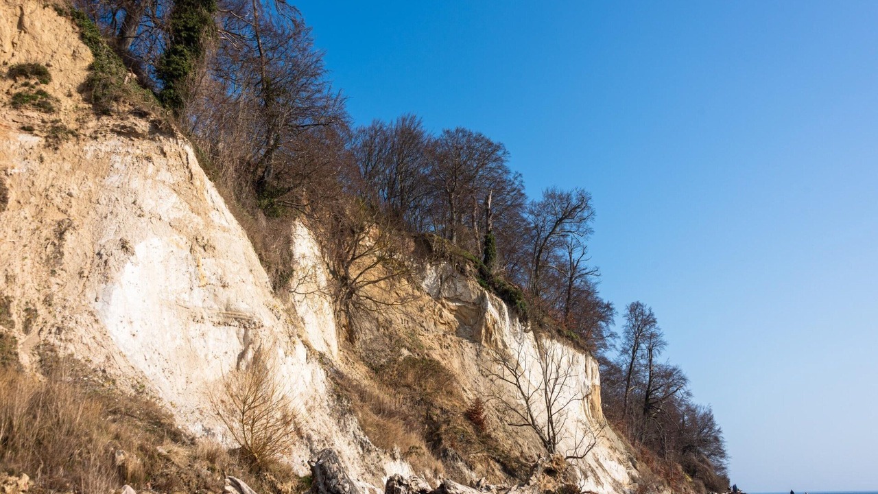 Photo of Others in Neddesitz
