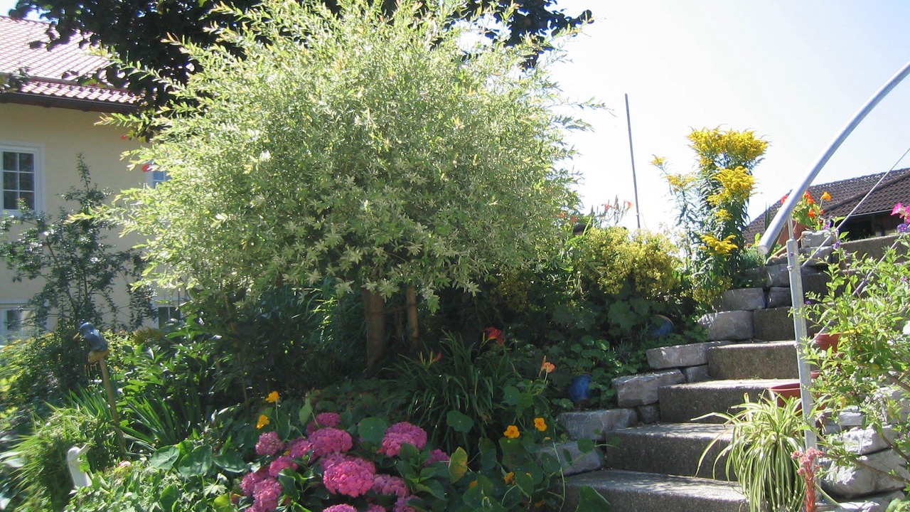 Photo of Outdoor in Haigerloh