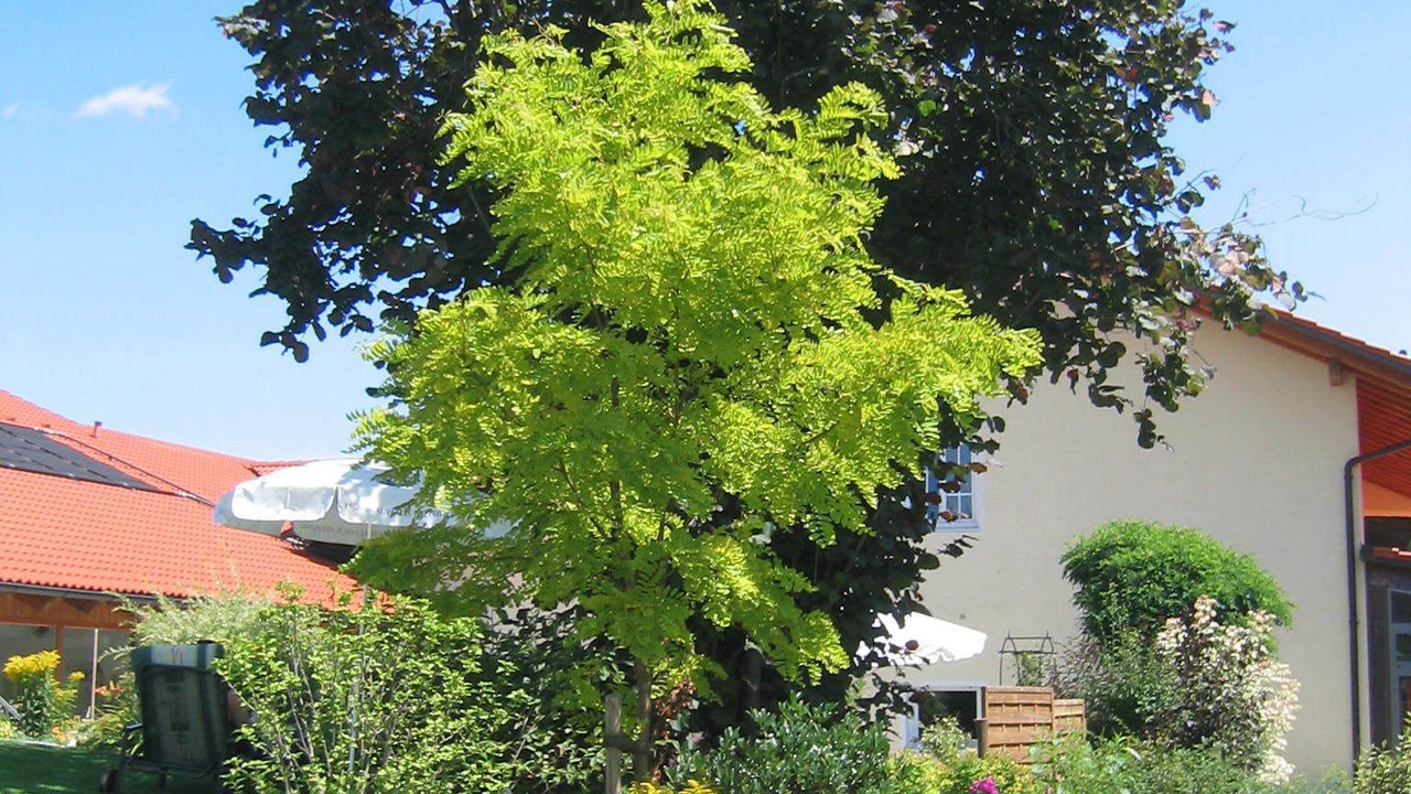 Photo of Outdoor in Haigerloh