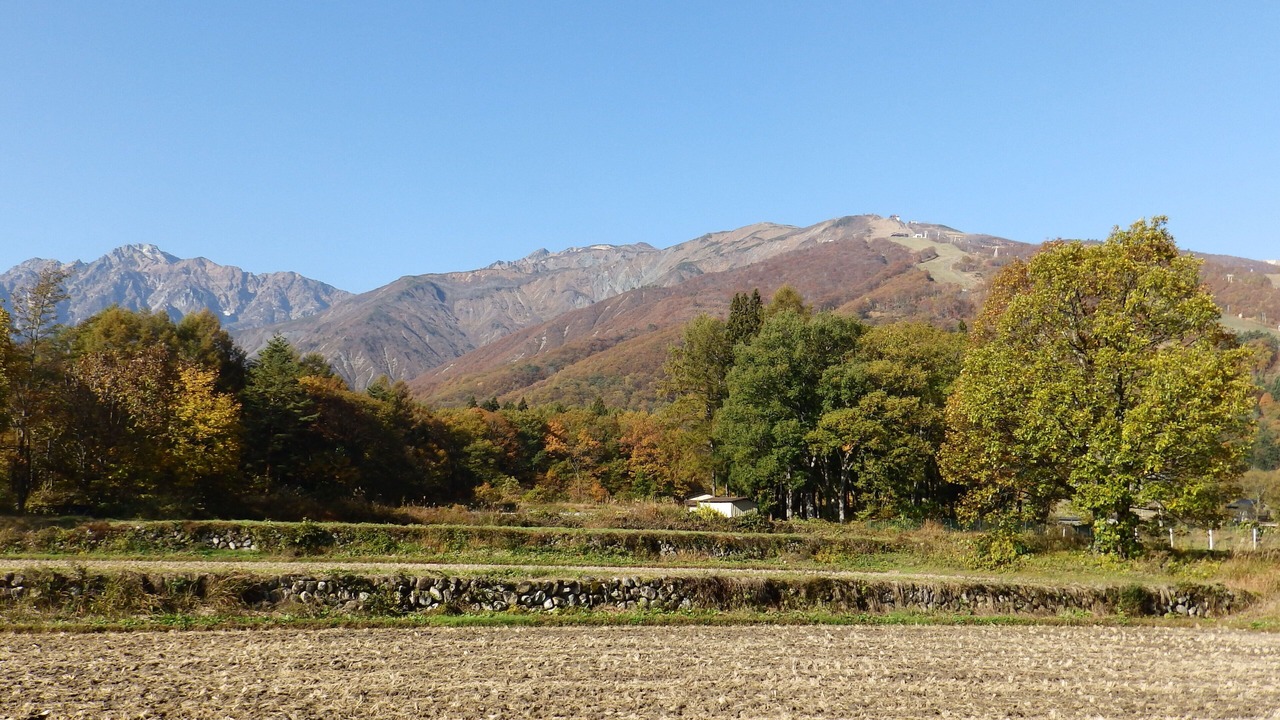 Photo of Outdoor in Hokujo