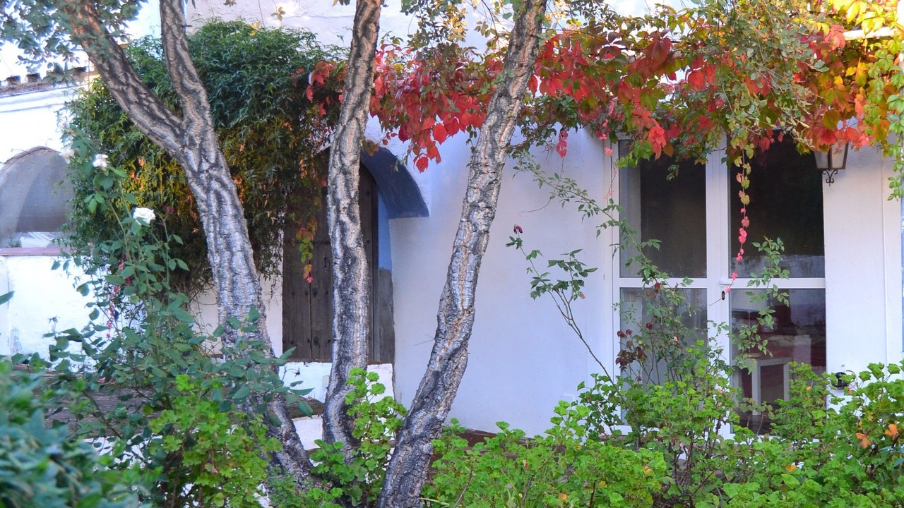 Photo of Outdoor in Cazalla De La Sierra