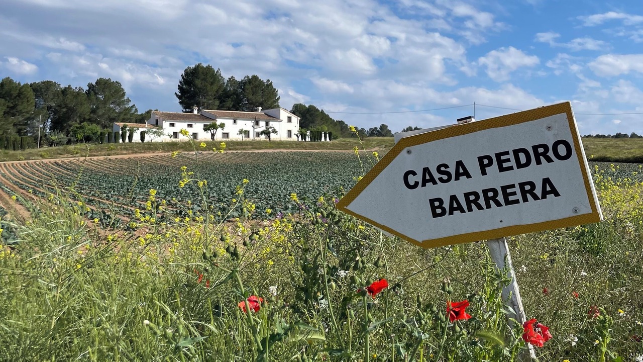 Photo of Outdoor in La Almudema