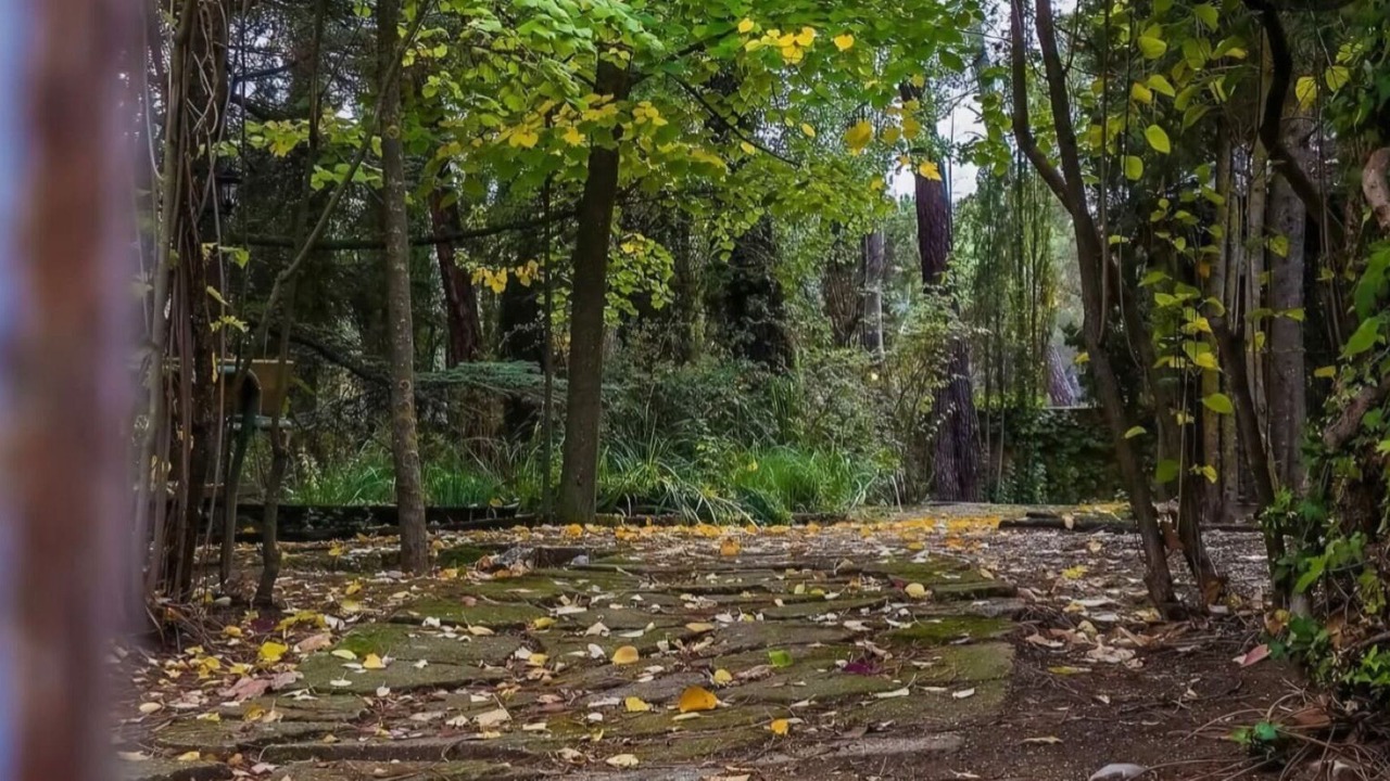 Photo of Outdoor in Jabaga