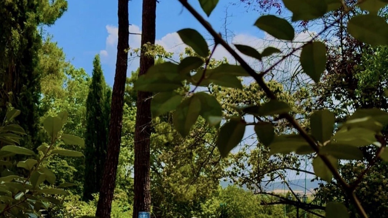 Photo of Outdoor in Jabaga
