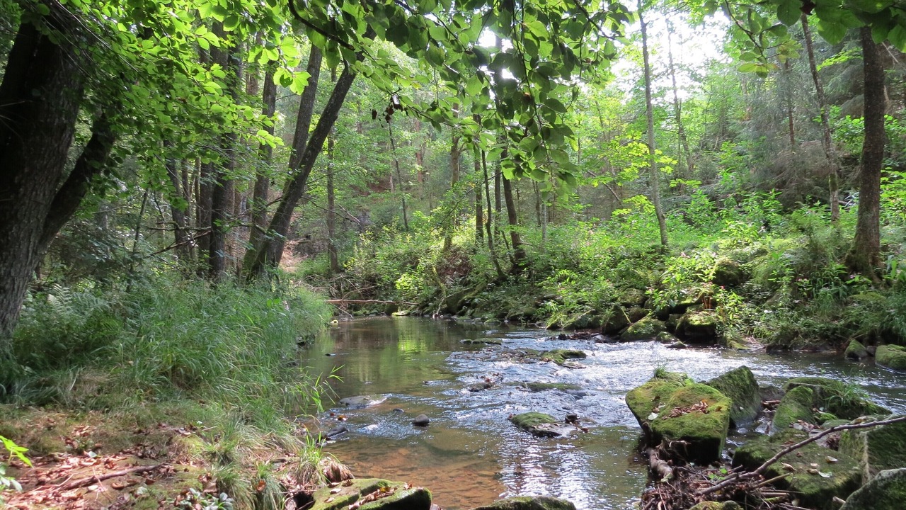 Photo of Outdoor in Grattersdorf