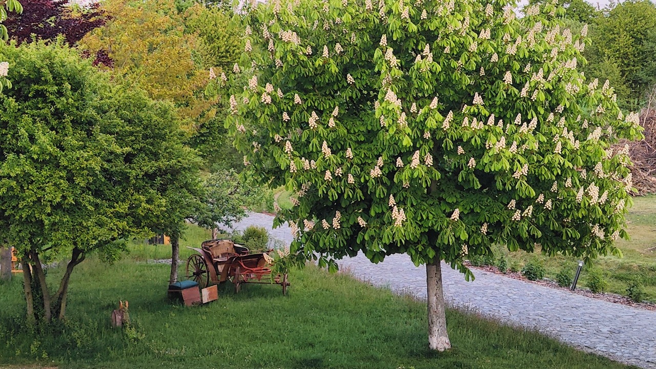 Photo of Outdoor in Buhlau
