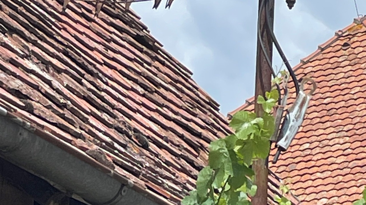 Photo of Outdoor in Ipsheim