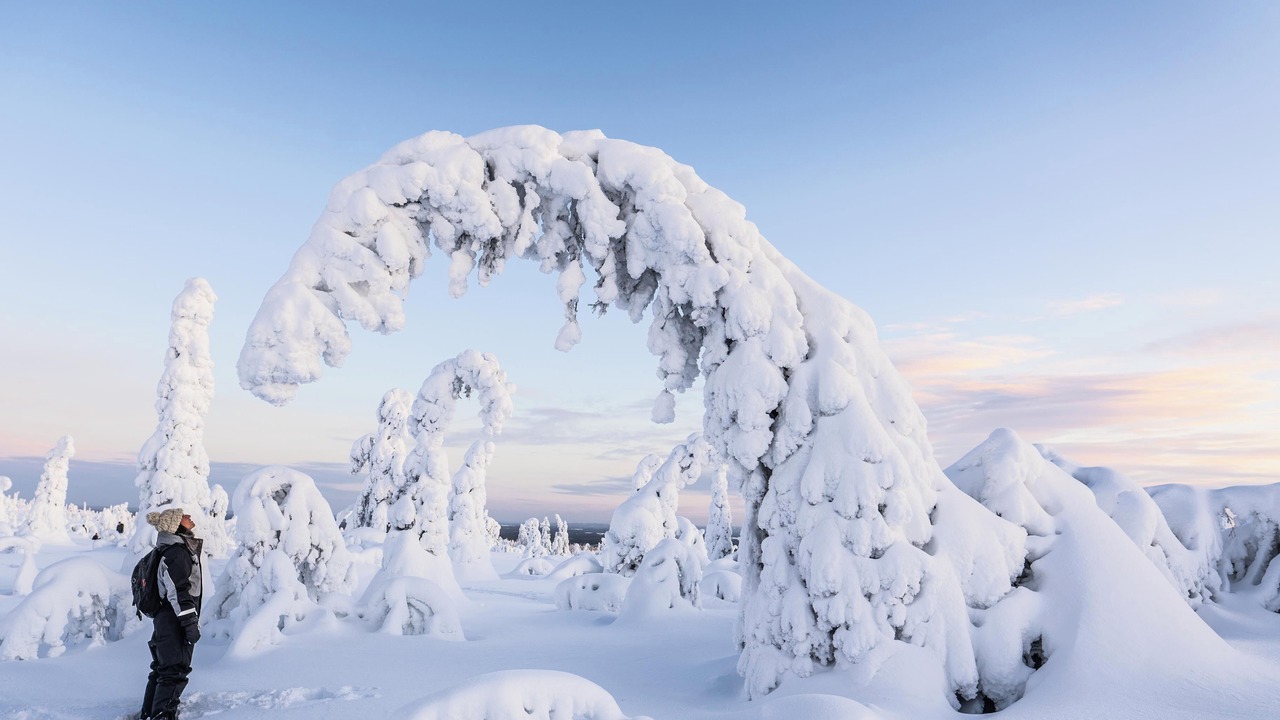 Photo of Others in Rovaniemi