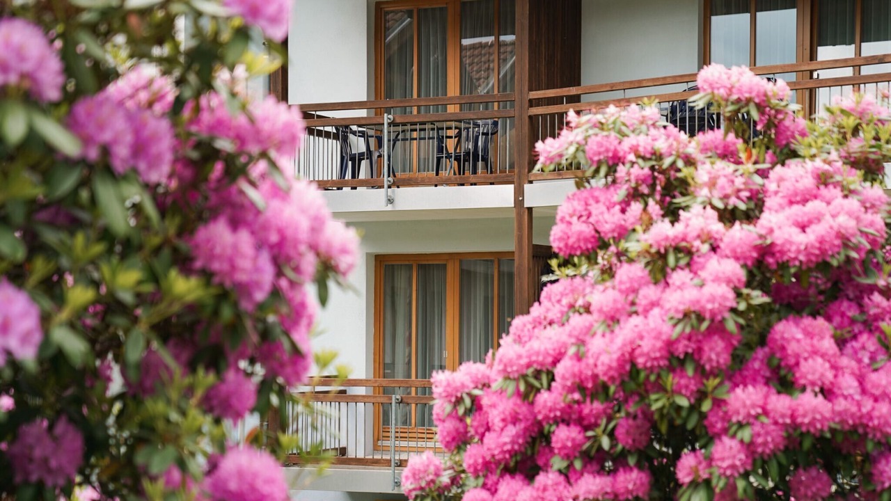 Photo of Outdoor in Sonnen