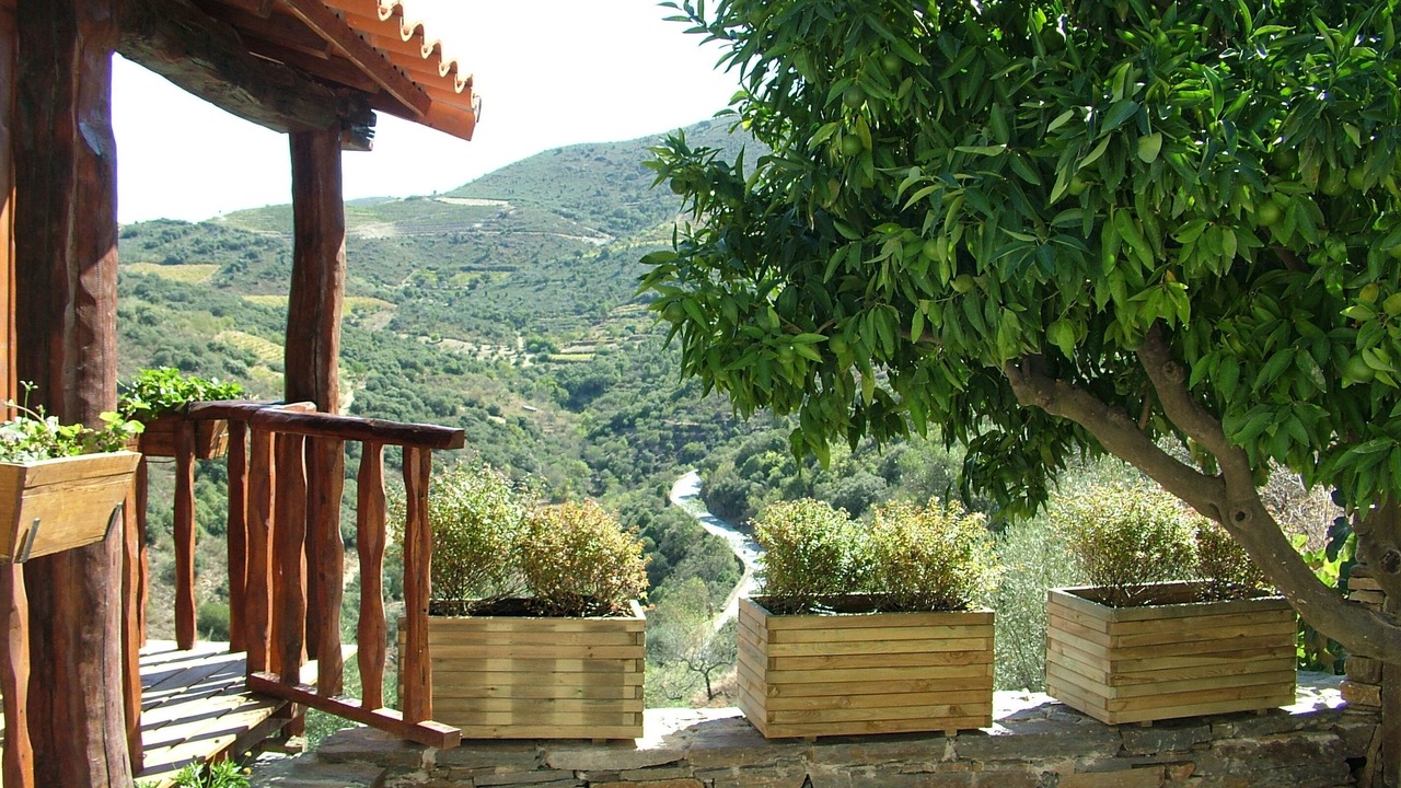 Photo of Patio Balcony in Vila Nova de Foz Coa