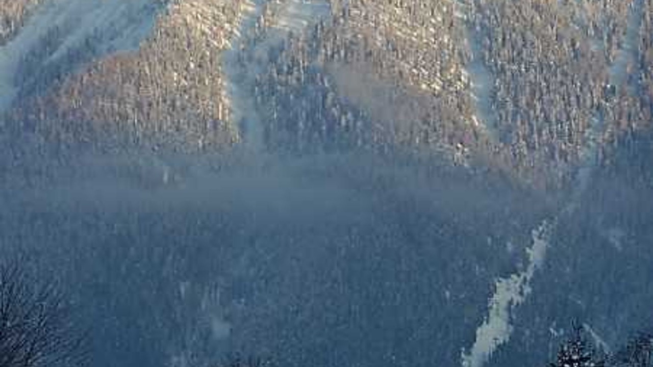 Photo of Others in Kreuth