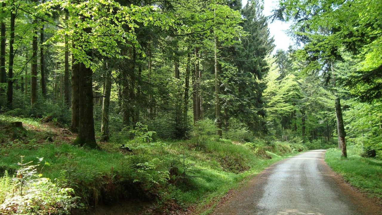 Photo of Outdoor in Glashutt
