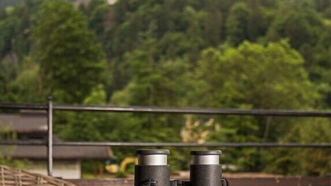 Photo of Others in Schwangau