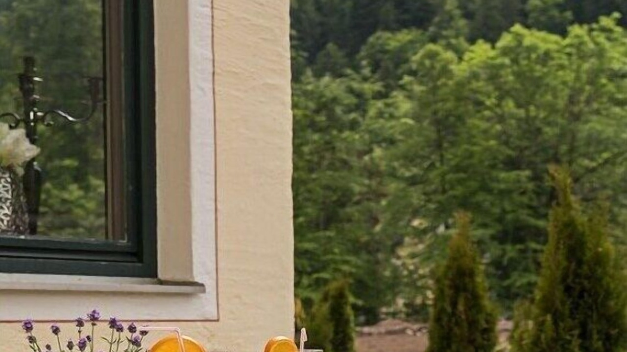 Photo of Outdoor in Schwangau