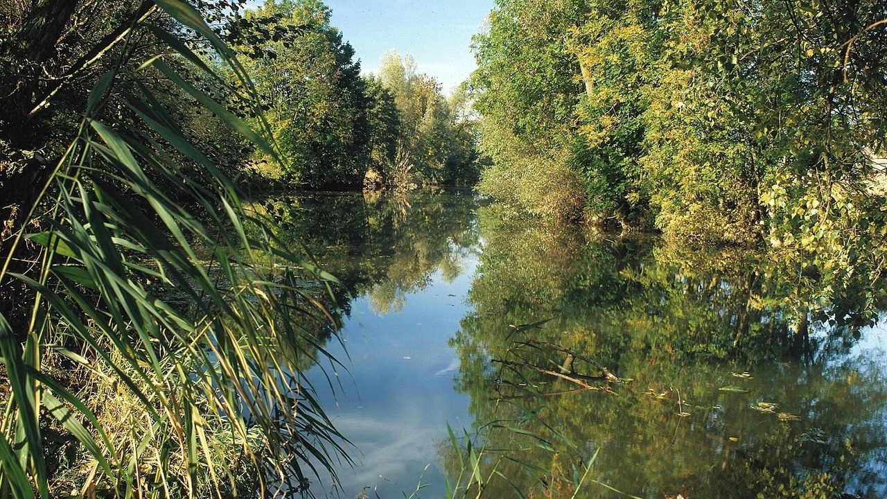 Photo of Others in Lauda