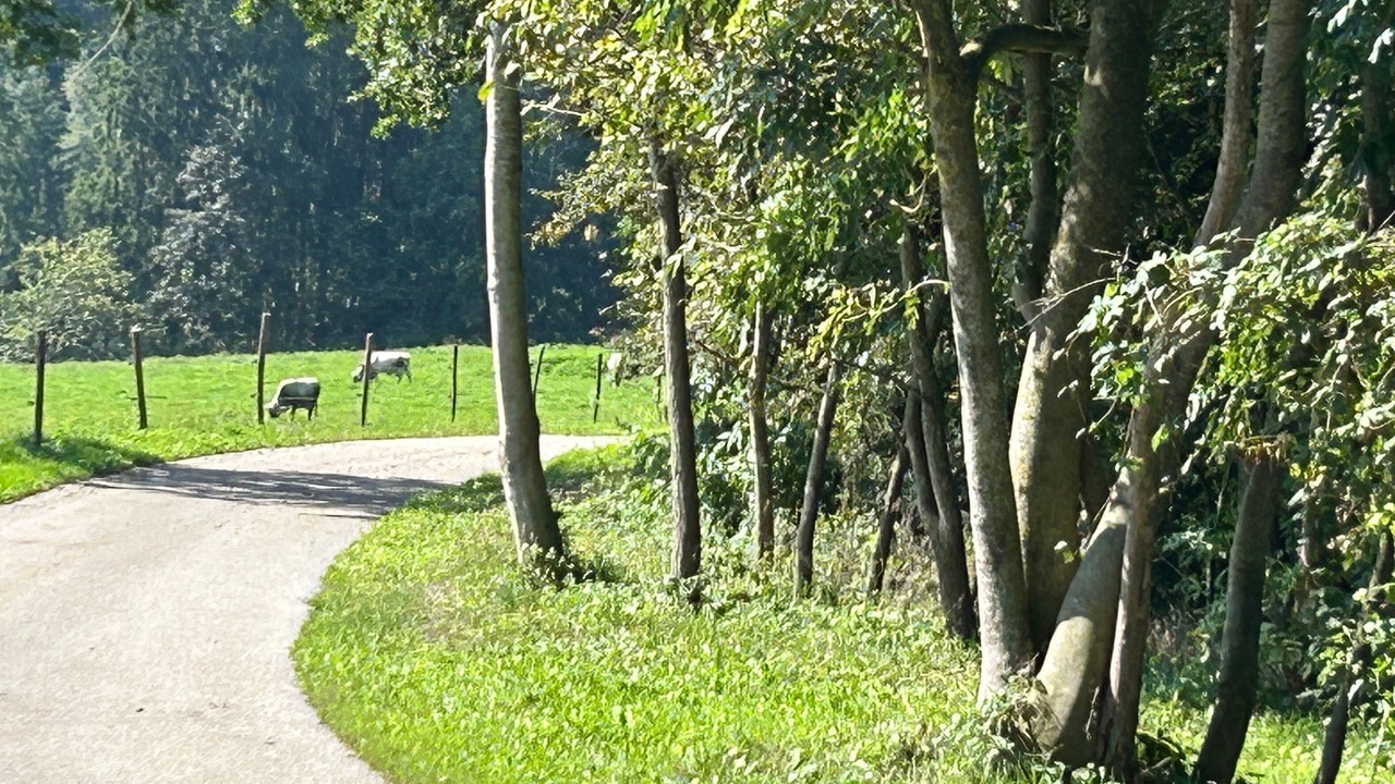 Photo of Others in Waldkraiburg