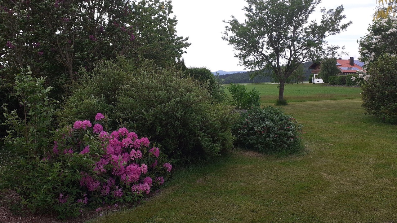 Photo of Outdoor in Herzogsreut