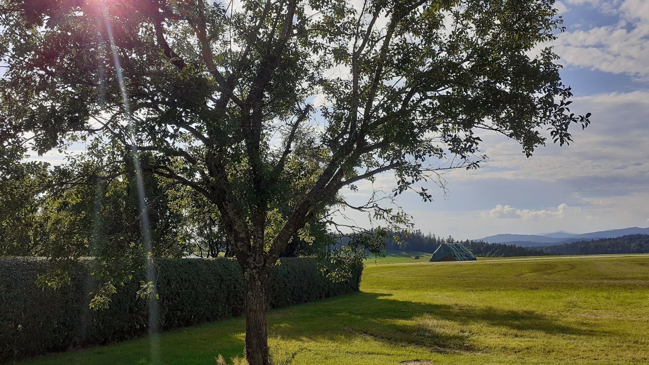 Photo of Outdoor in Herzogsreut