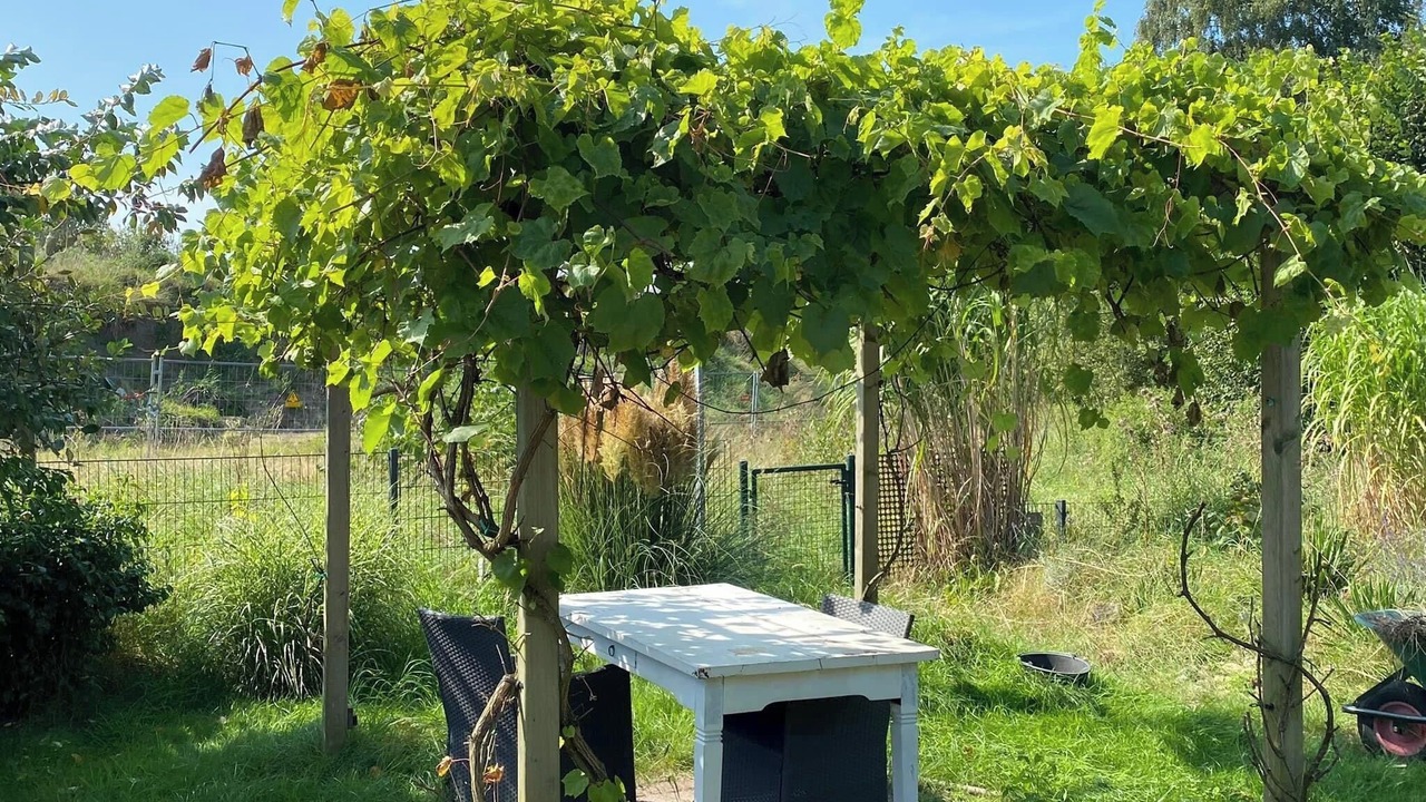 Photo of Outdoor in Schuettorf