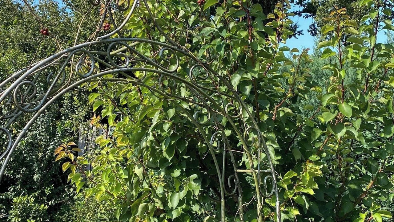 Photo of Outdoor in Schuettorf