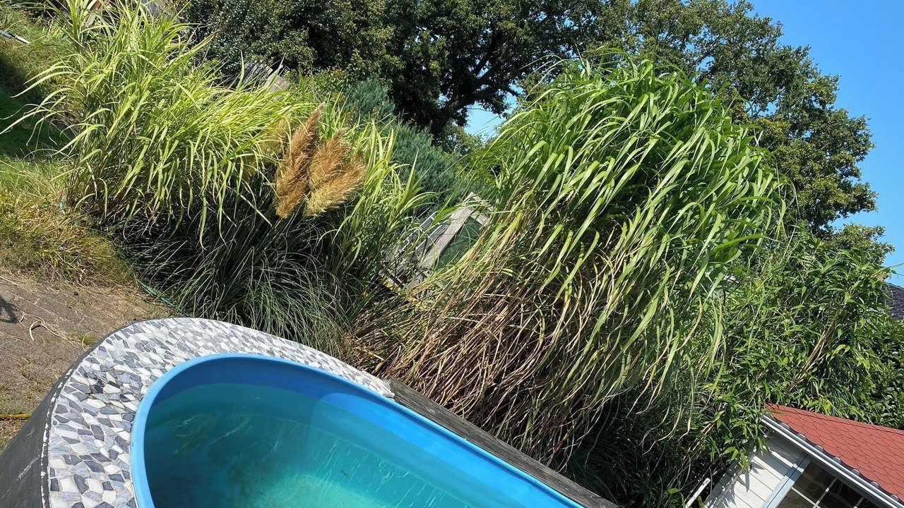 Photo of Outdoor in Schuettorf
