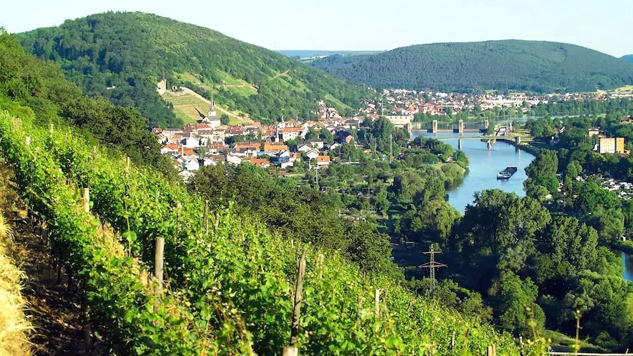 Photo of Outdoor in Altfeld