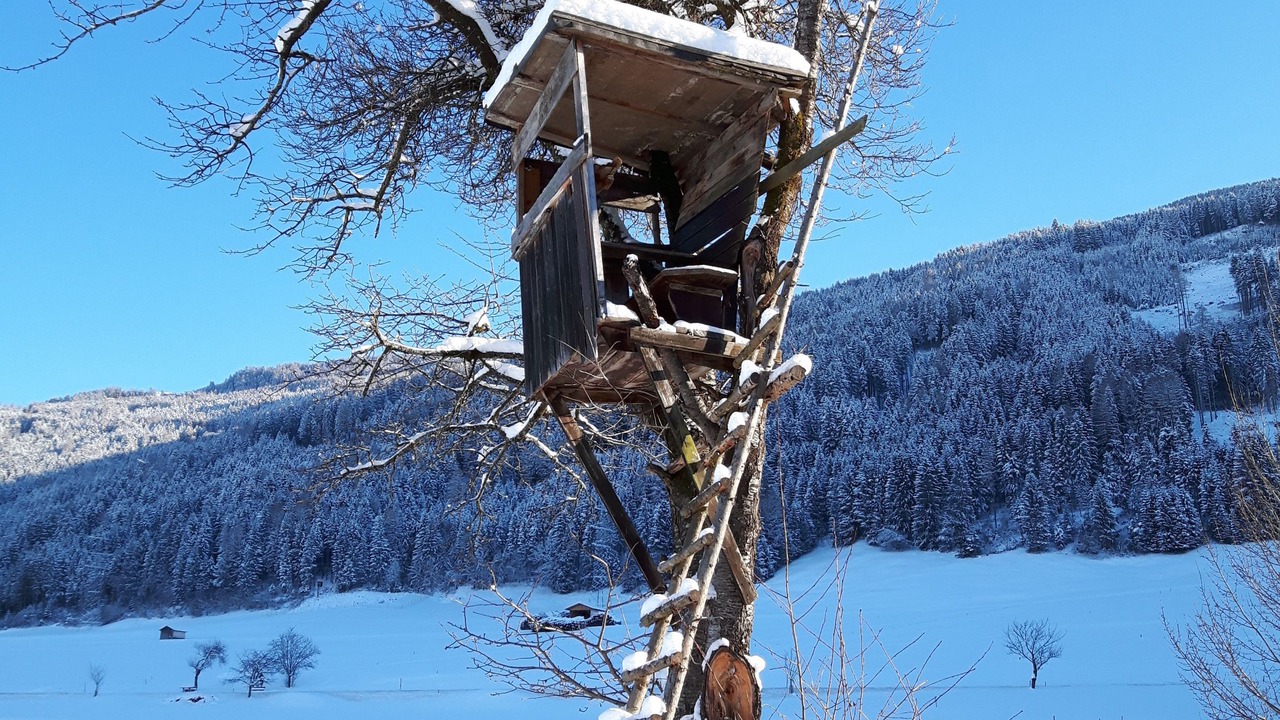 Photo of Buildings in Tulfes