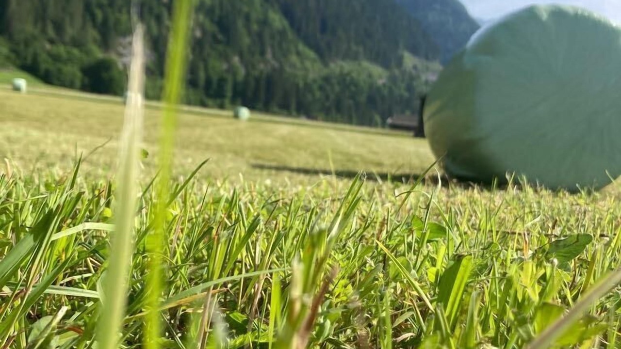 Photo of Outdoor in Elmen