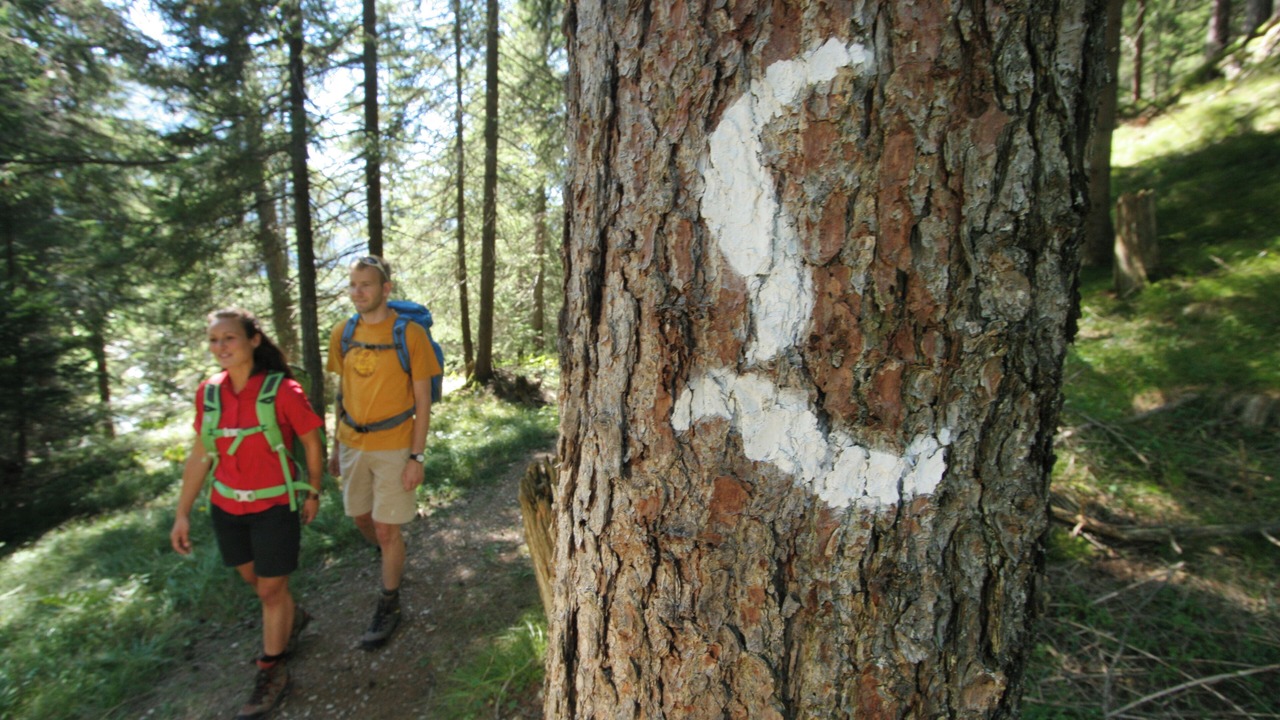 Photo of Outdoor in Elmen