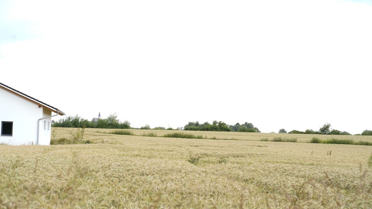 Photo of Others in Hengersberg