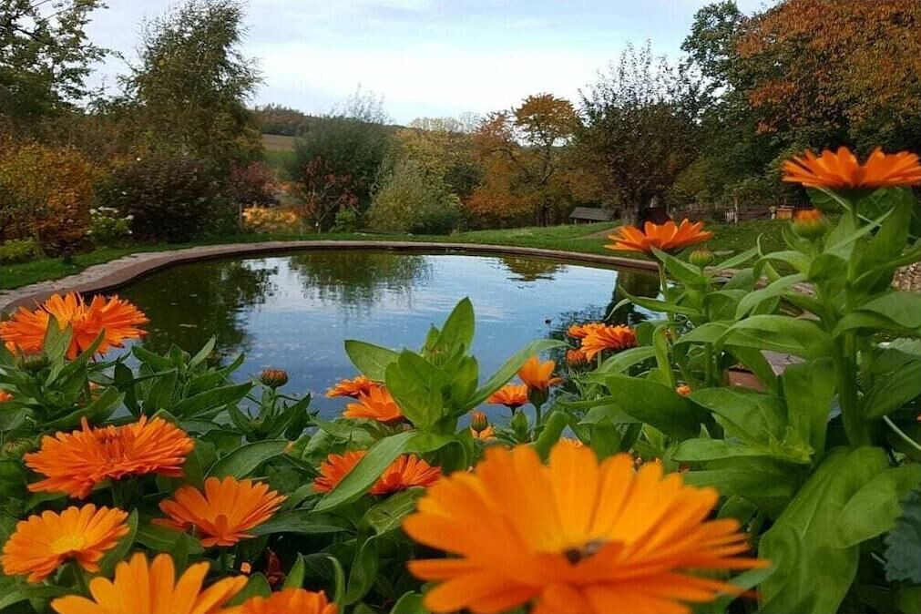 Photo of Outdoor in Liebstadt