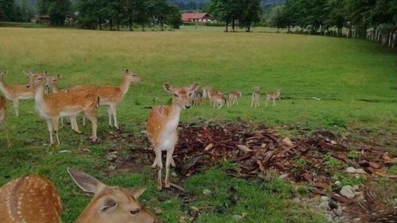 Photo of Others in Lenggries