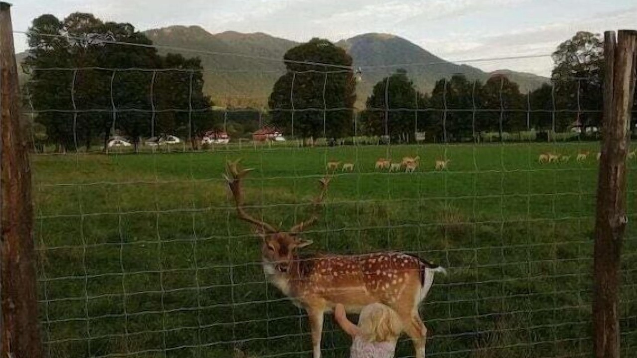 Photo of Others in Lenggries