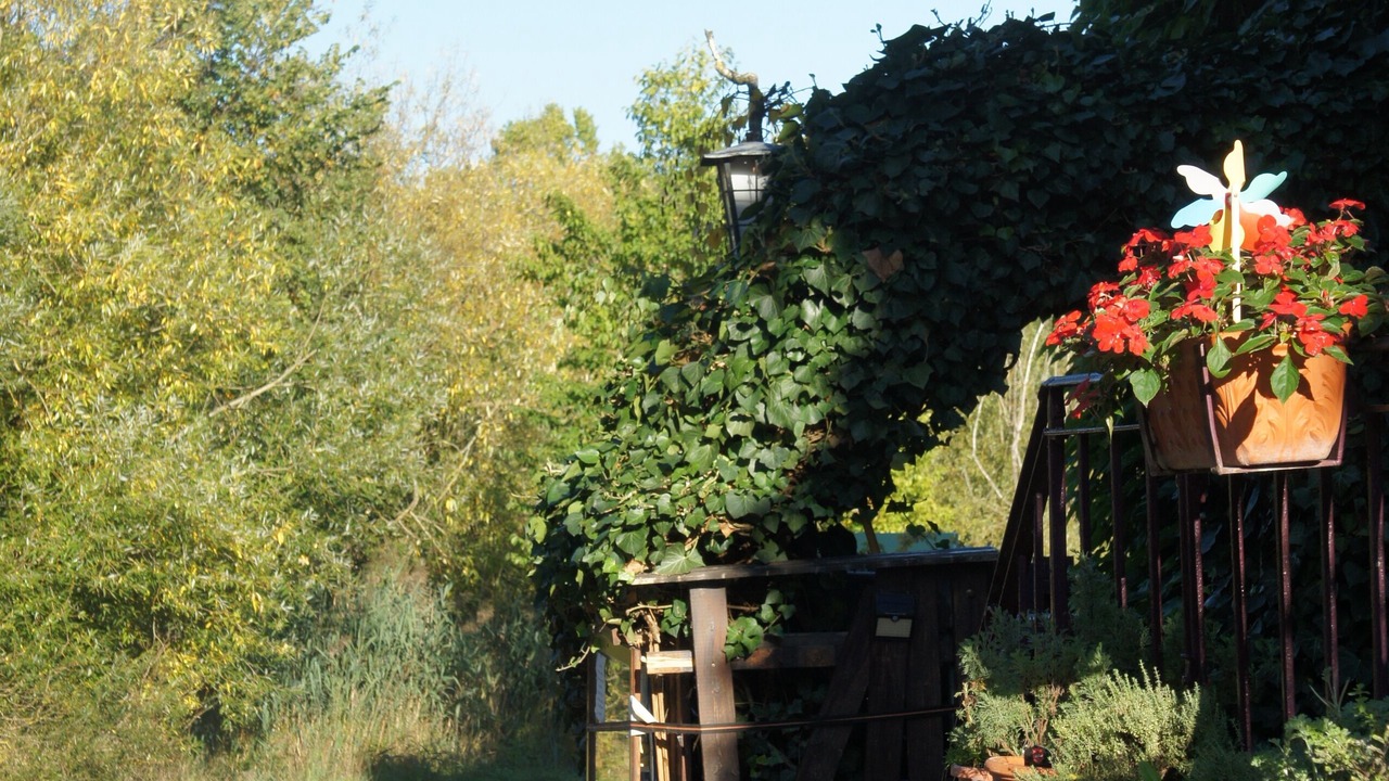 Photo of Outdoor in Sommerhausen