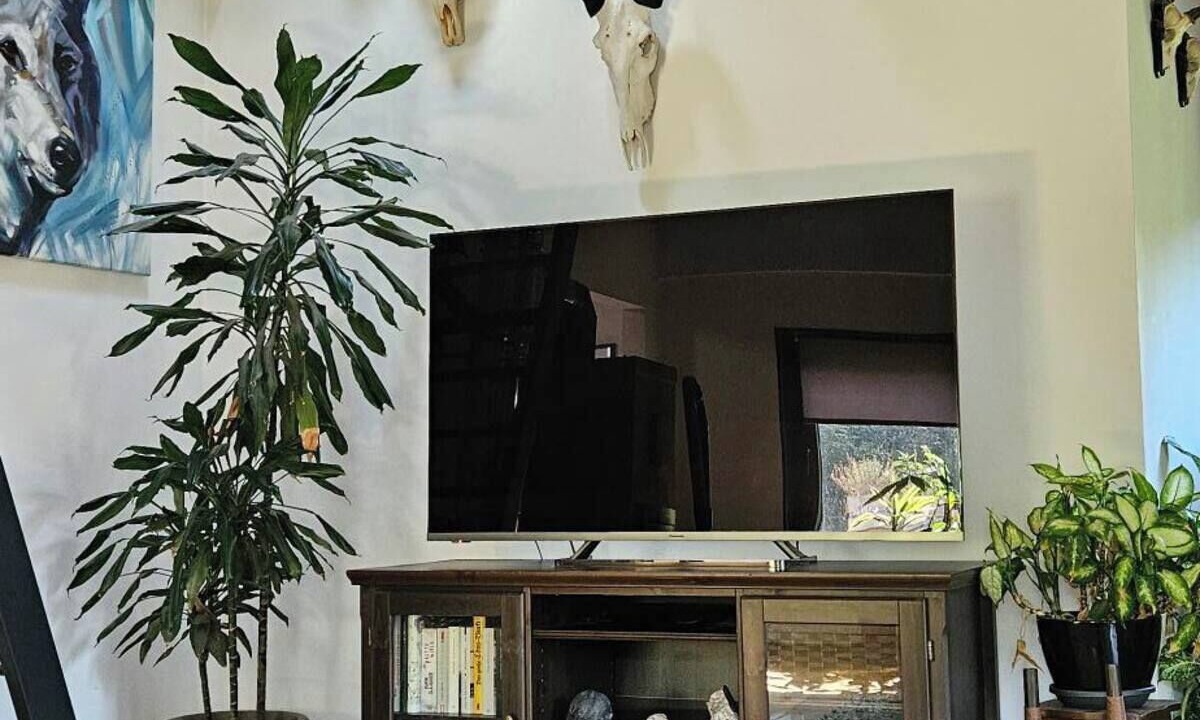 Photo of Livingroom in Langscheid