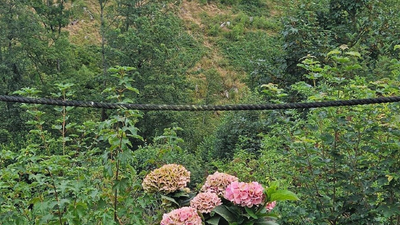 Photo of Outdoor in Langscheid