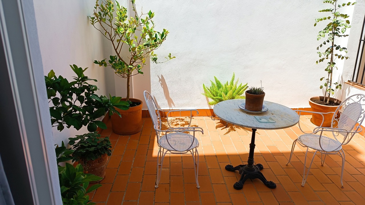 Photo of Outdoor in Palma del Rio