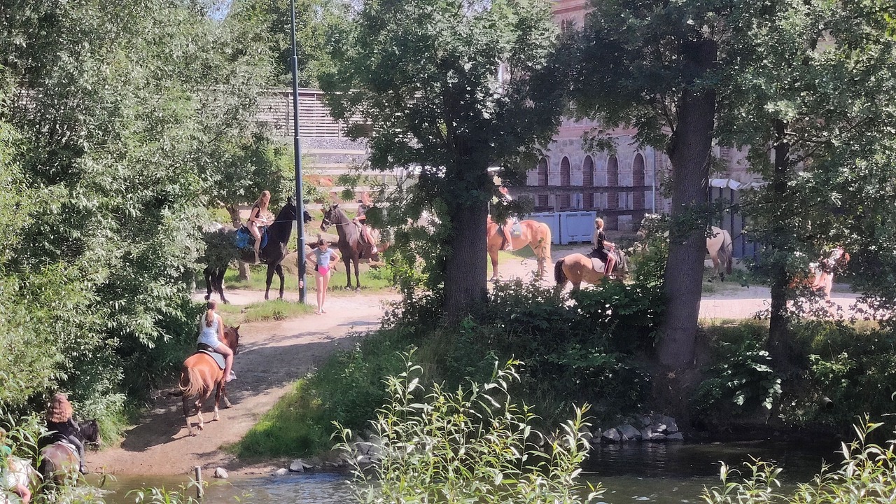 Photo of Outdoor in Buhlau