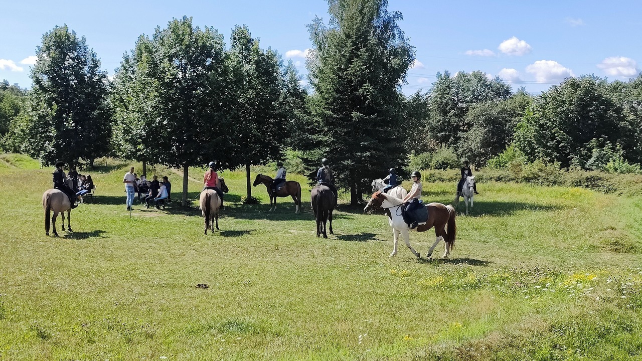 Photo of Others in Buhlau