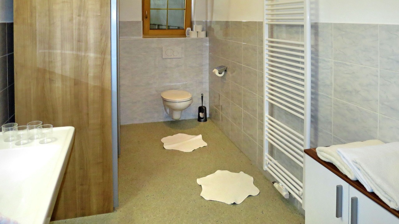 Photo of Bathroom in Hainzenberg