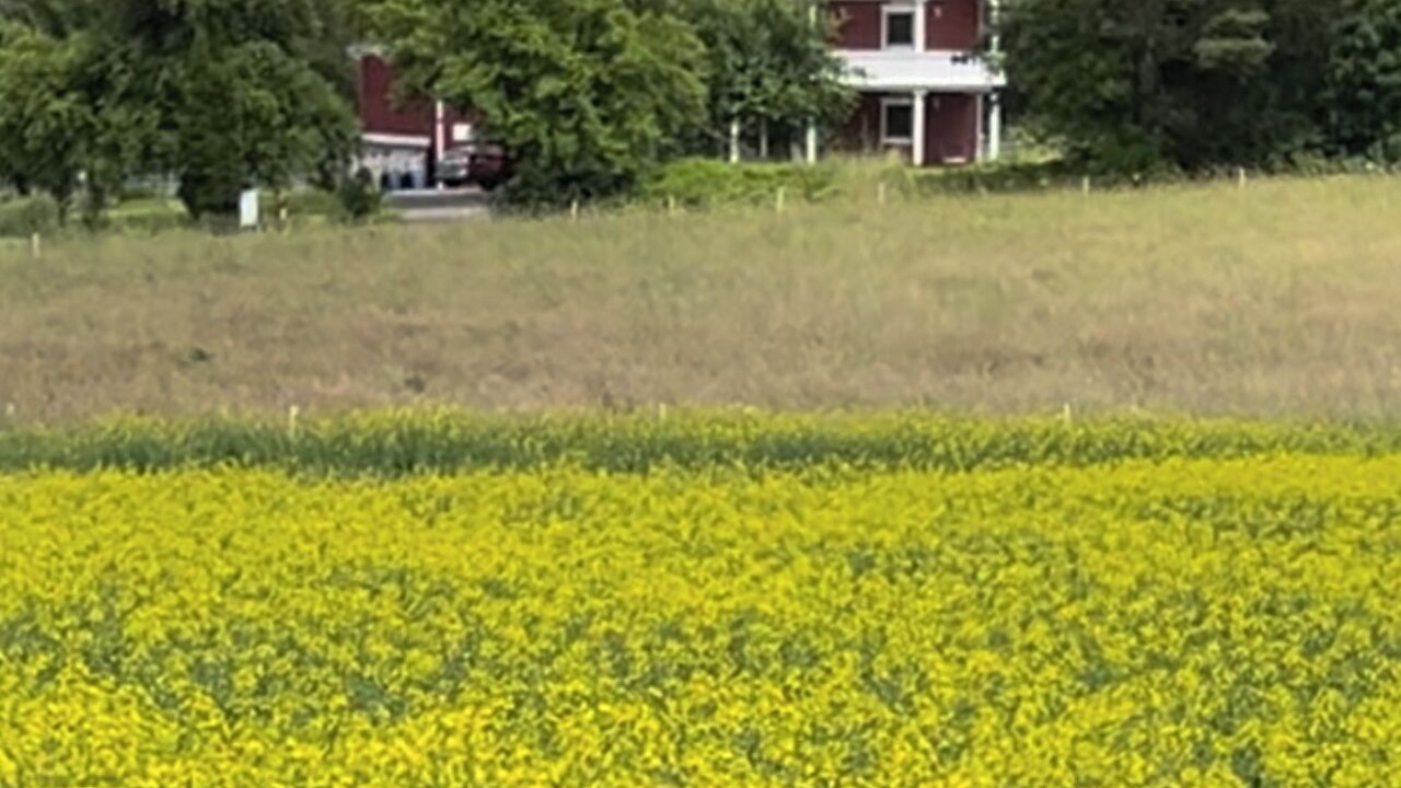 Photo of Outdoor in Vilseck