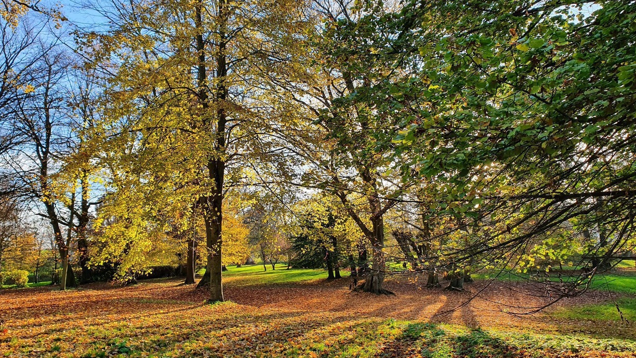 Photo of Outdoor in Satow