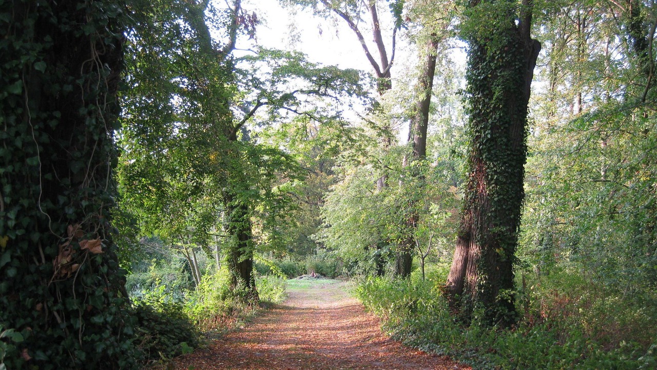 Photo of Outdoor in Satow