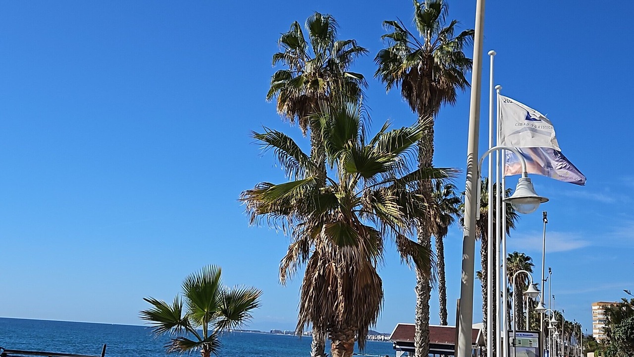 Photo of Others in Algarrobo