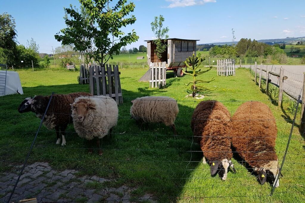 Photo of Outdoor in Buchenberg