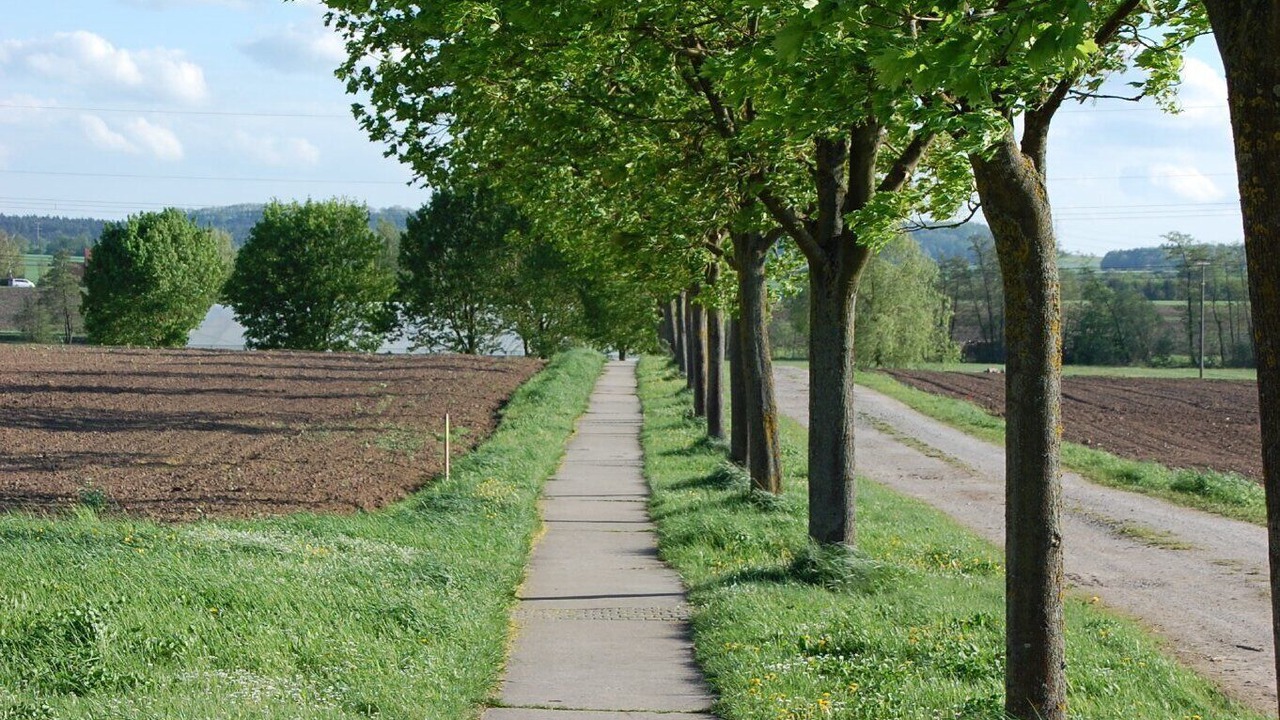 Photo of Others in Baudenbach