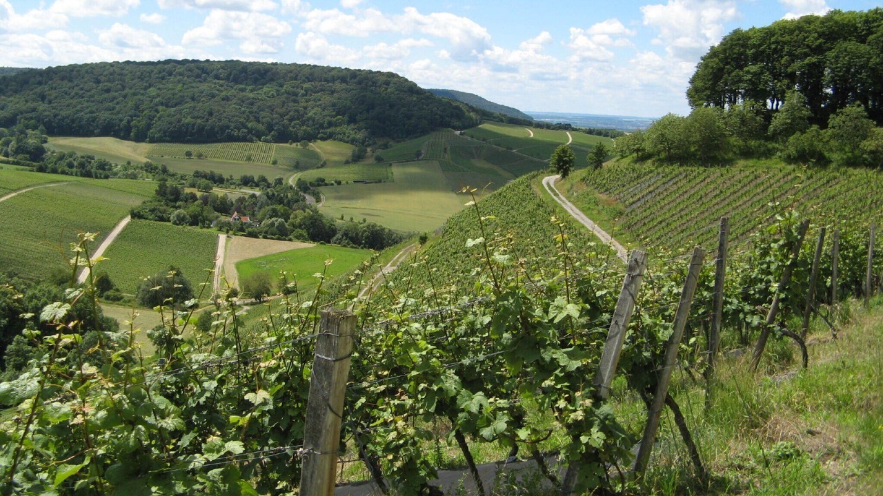 Photo of Others in Baudenbach